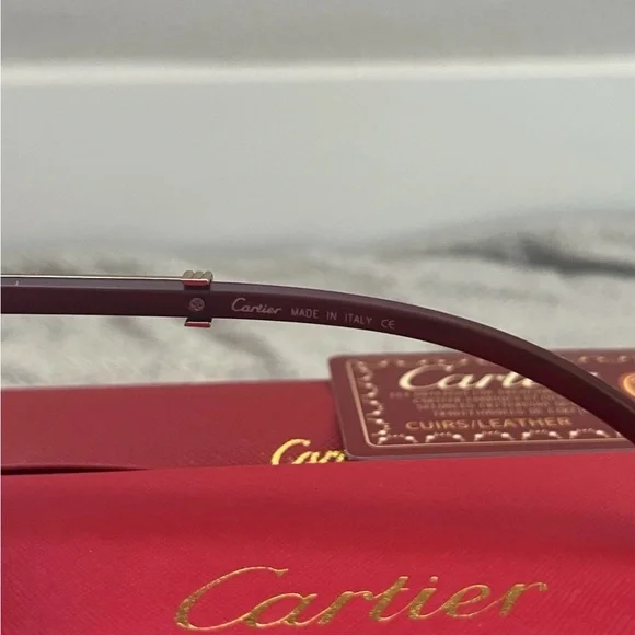 Cartier Unisex Sunglasses - Black and purple.